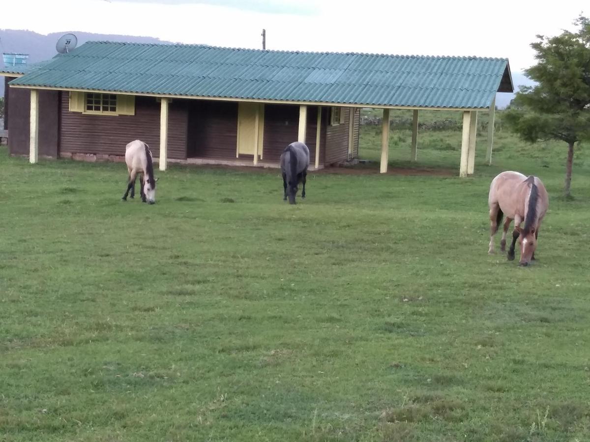 Pousada Fazenda Paim Sao Jose dos Ausentes Luaran gambar