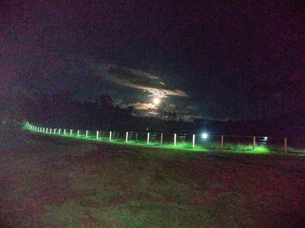 Pousada Fazenda Paim Sao Jose dos Ausentes Luaran gambar