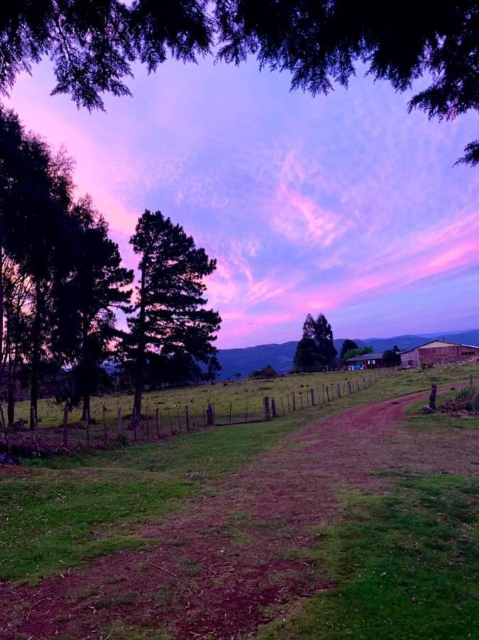 Pousada Fazenda Paim Sao Jose dos Ausentes Luaran gambar