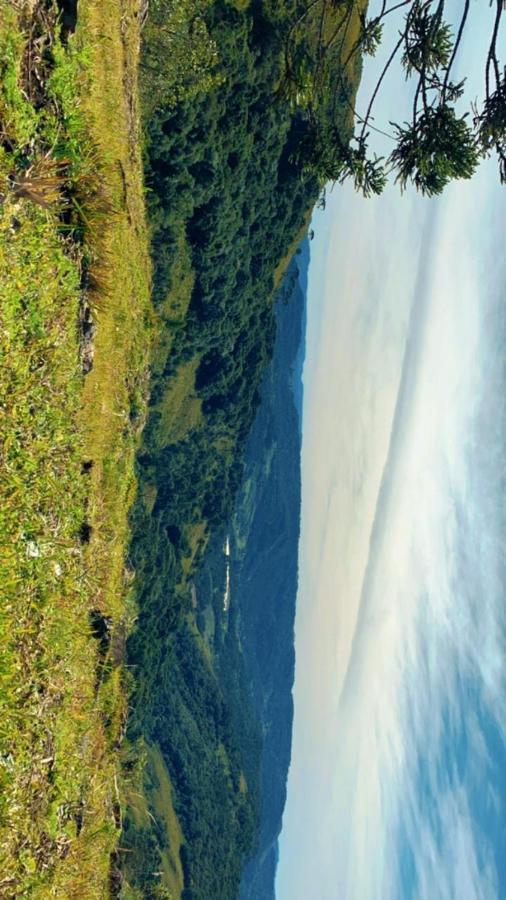 Pousada Fazenda Paim Sao Jose dos Ausentes Luaran gambar