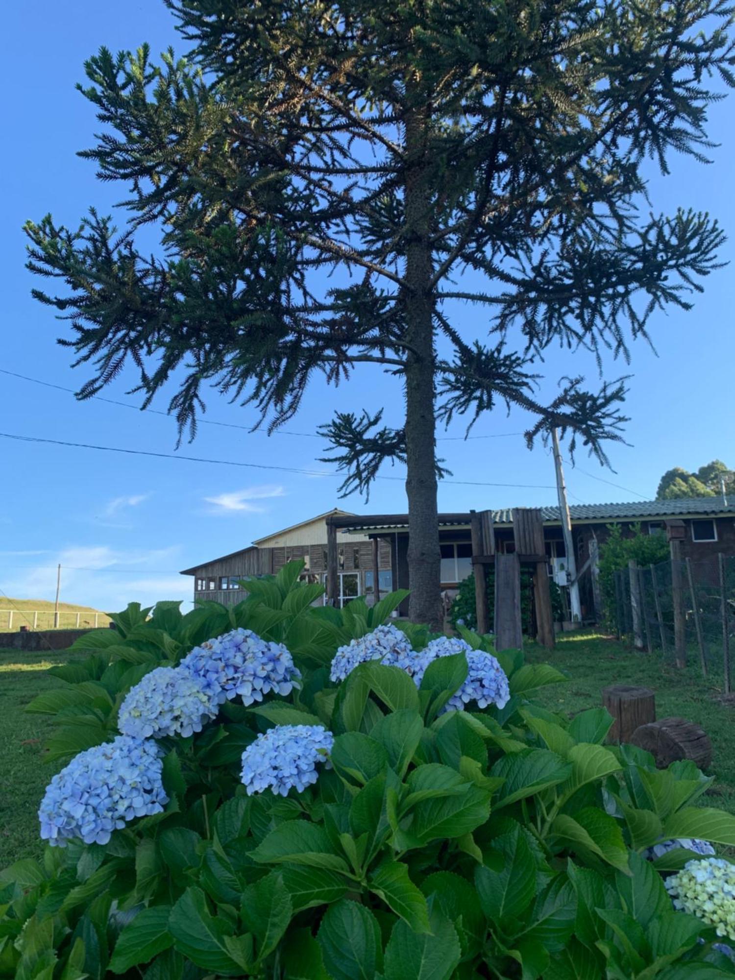 Pousada Fazenda Paim Sao Jose dos Ausentes Luaran gambar
