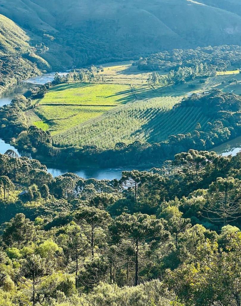 Pousada Fazenda Paim Sao Jose dos Ausentes Luaran gambar