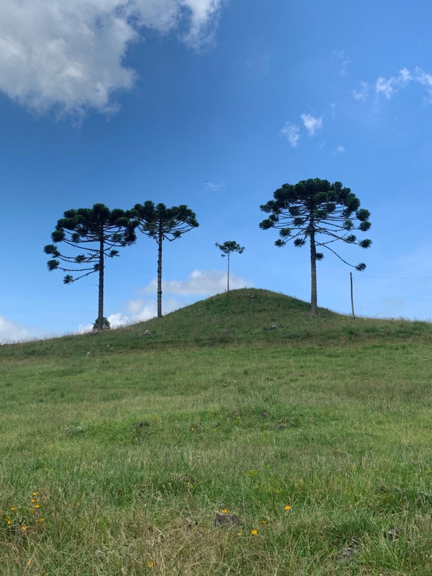 Pousada Fazenda Paim Sao Jose dos Ausentes Luaran gambar