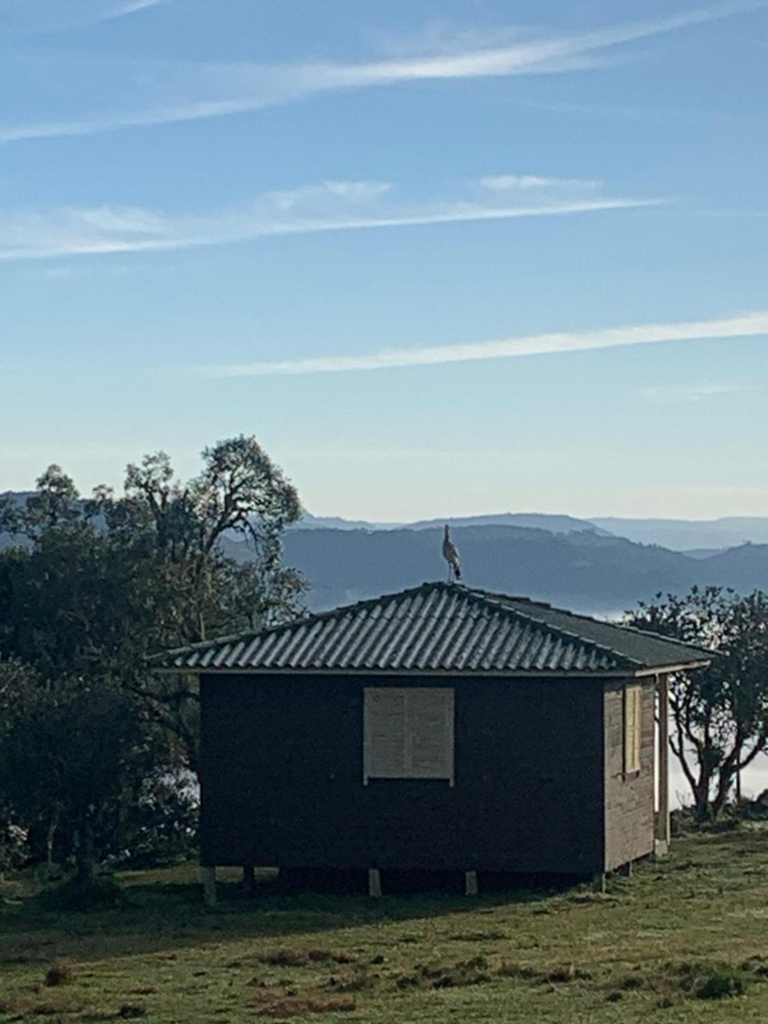 Pousada Fazenda Paim Sao Jose dos Ausentes Luaran gambar